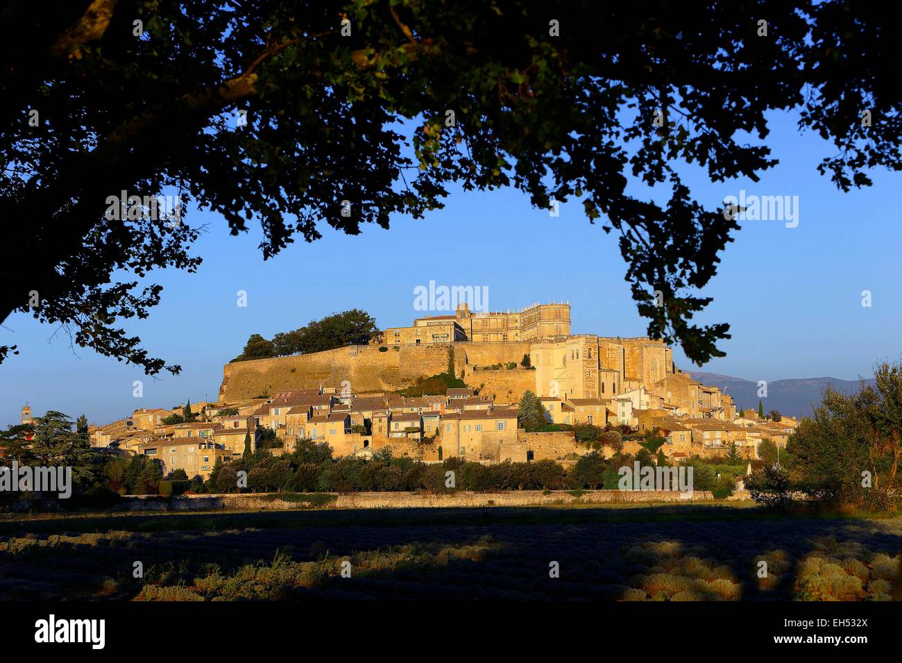 Francia, Drome, Grignan, il castello di Adhemar de Monteil o Grignan castello del XII secolo, era la residenza di Francois Adhemar de Monteil nel XVII secolo Foto Stock