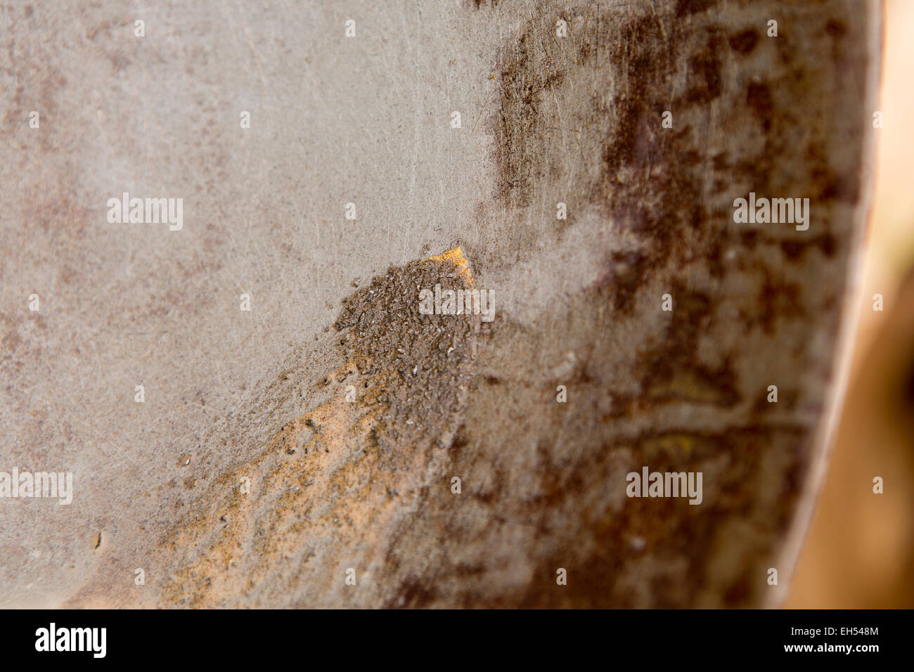 KOMOBANGAU, NIGER, : minuscole particelle di oro mostrano fino al residuo dopo il lavaggio a basso grado di minerale. Foto Stock