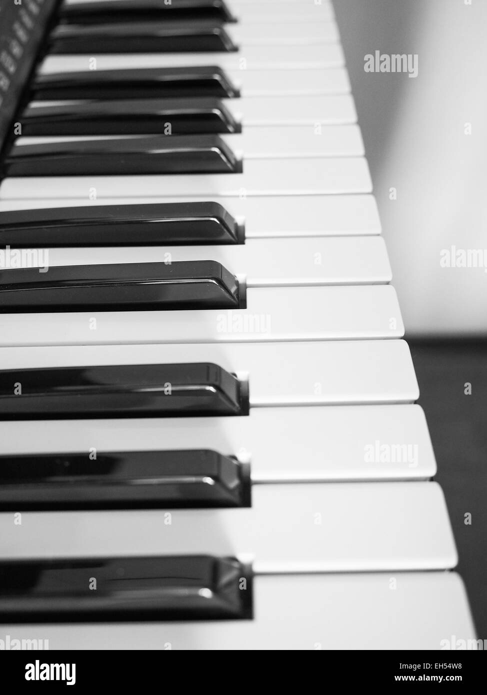 Dettaglio del bianco e del nero i tasti sulla tastiera musicale Foto Stock
