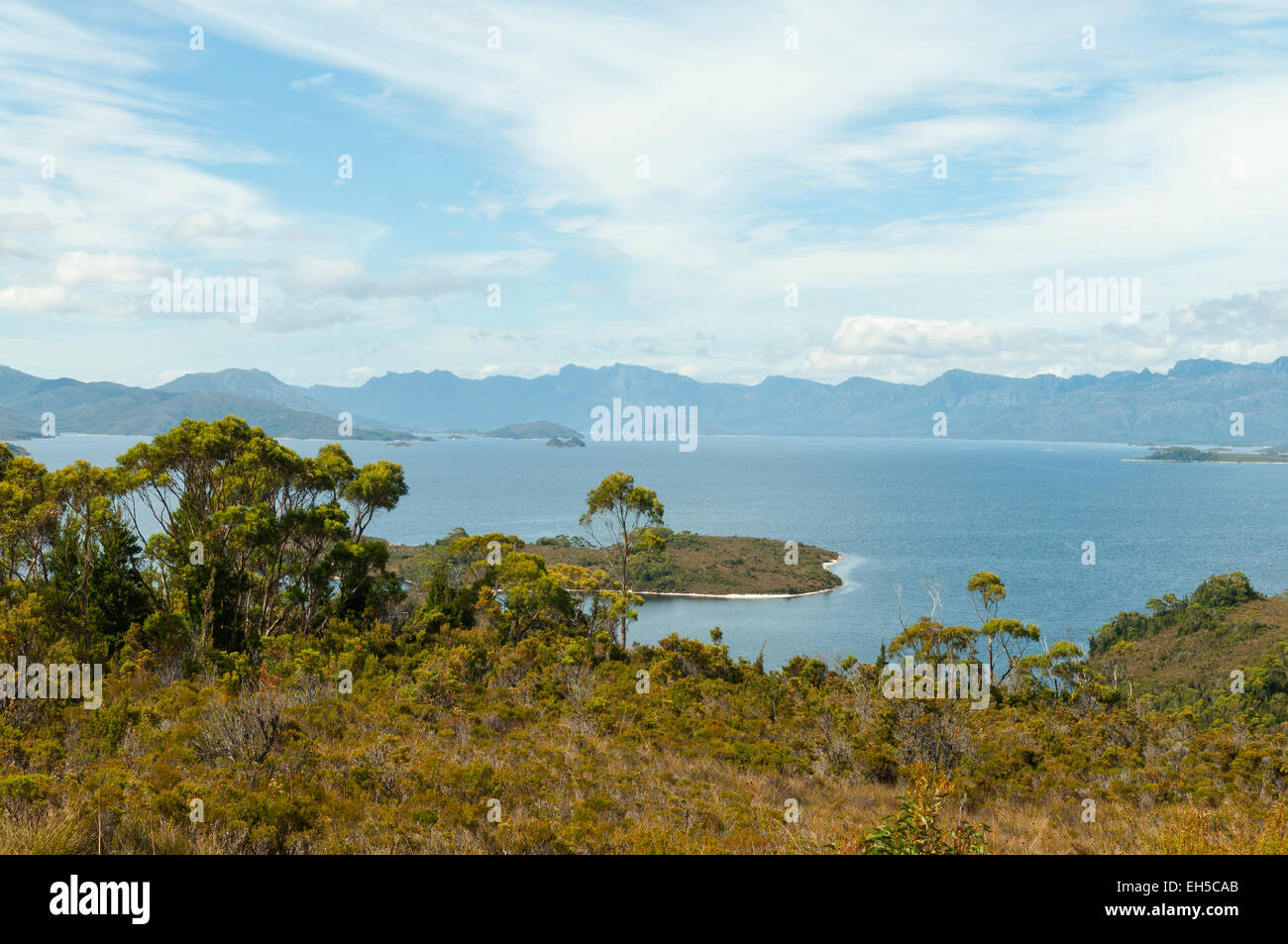 Il lago di Pedder, Tasmania, Australia Foto Stock