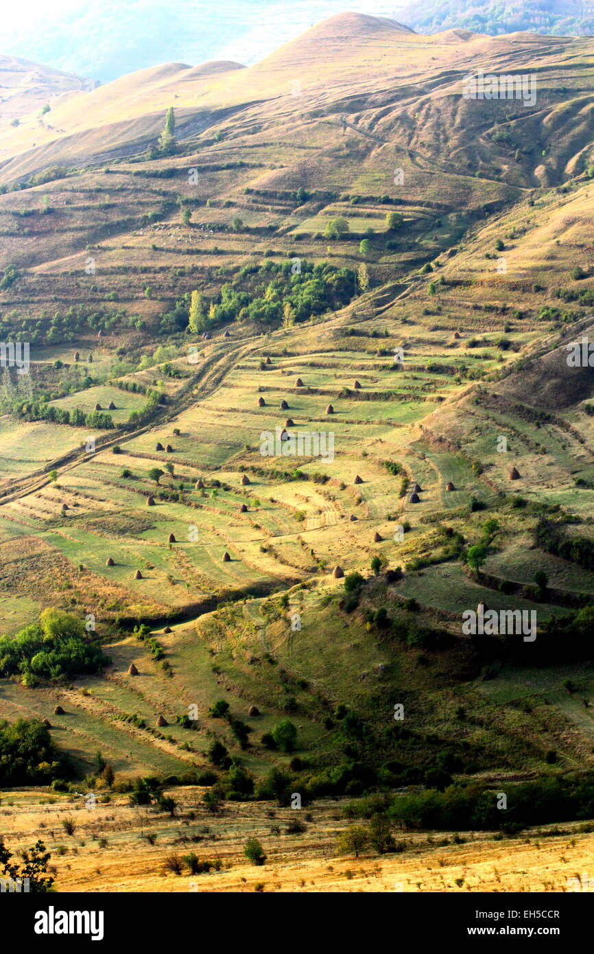 Terreni estremi modificati per l'agricoltura, vicino Rimetea, Romania Foto Stock