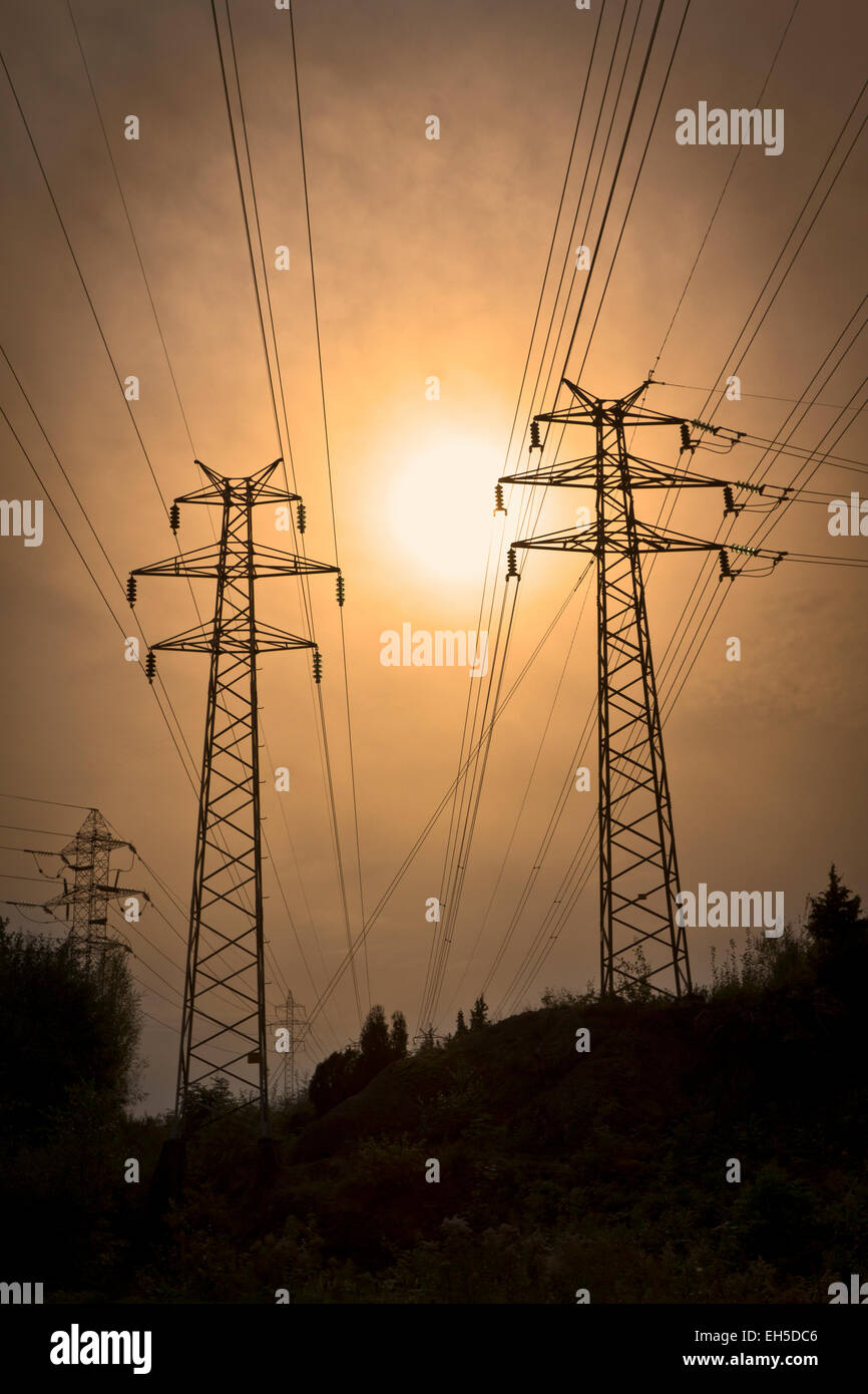 Energia verde le linee elettriche di alimentazione al tramonto. Elettricità tralicci e fili nella foresta. Foto Stock