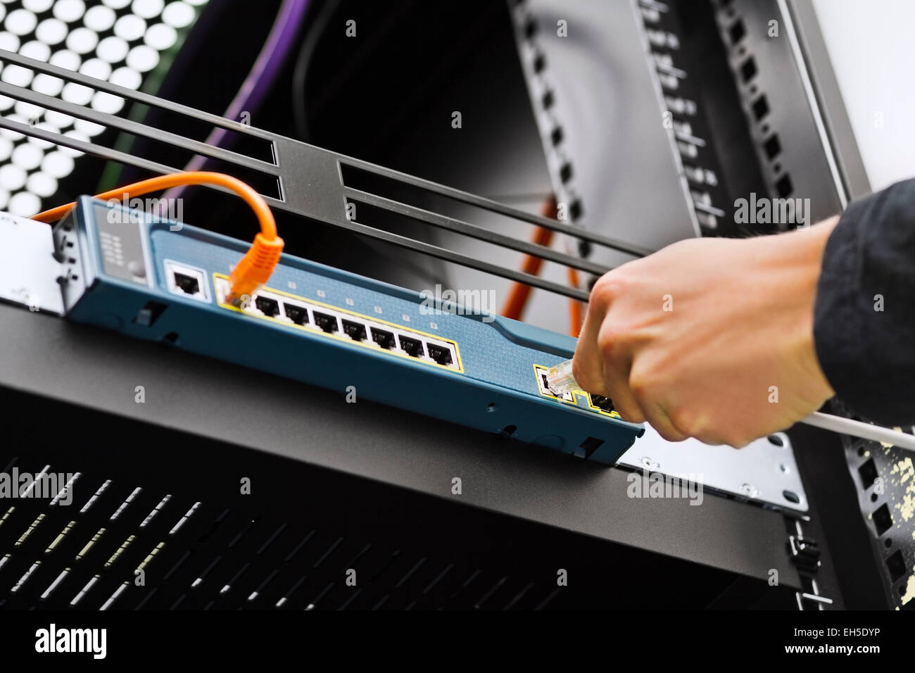 Consulente IT inserimento / il collegamento di un cavo di rete a uno switch. Foto Stock