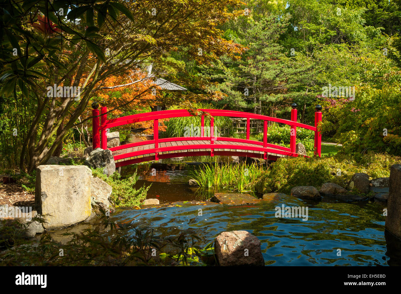 Giardino giapponese, Tasmanian Botanical Gardens, Hobart Foto Stock