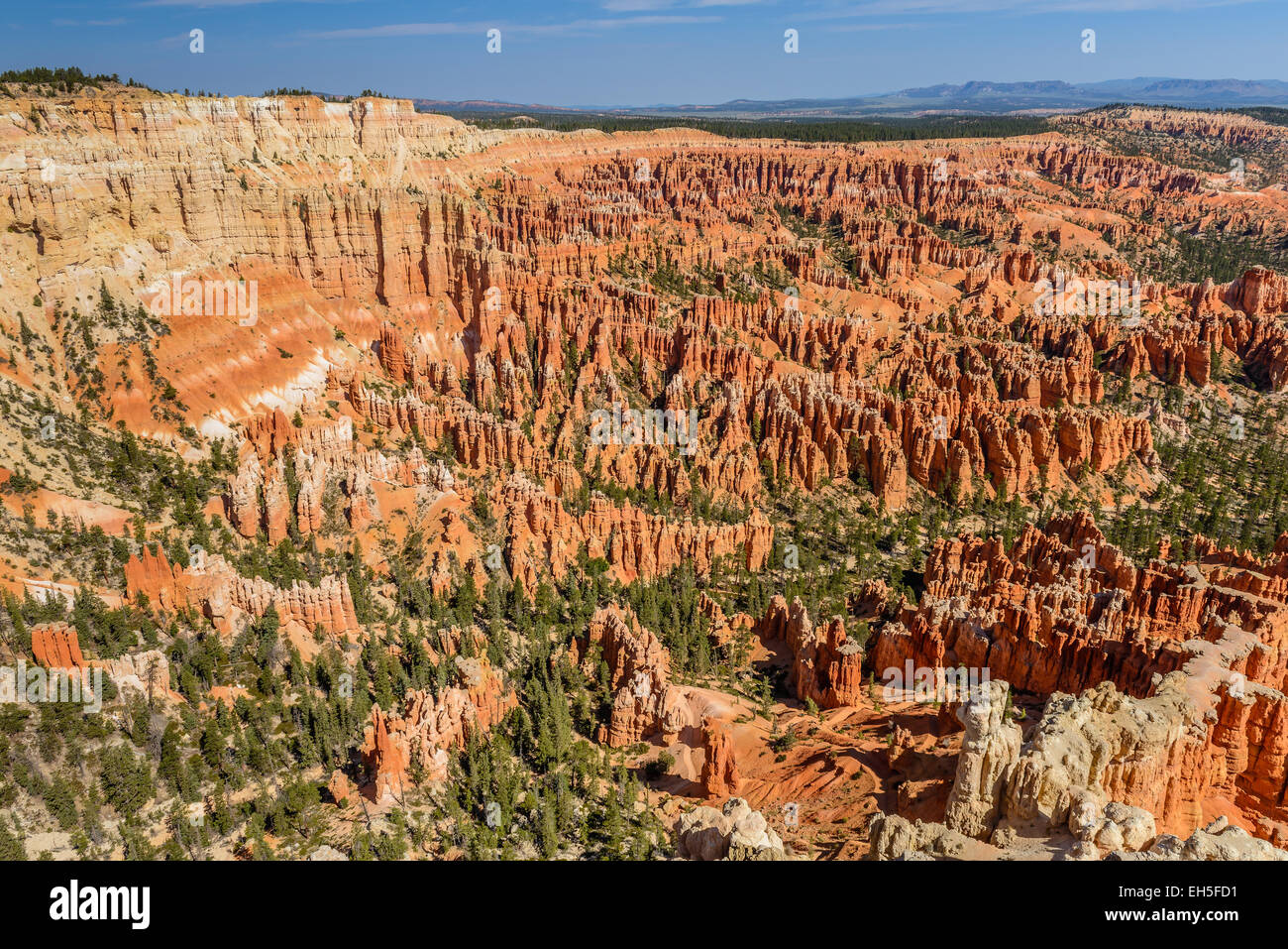 Hoodoos nel Bryce anfiteatro, parco nazionale di Bryce Canyon, Utah Foto Stock