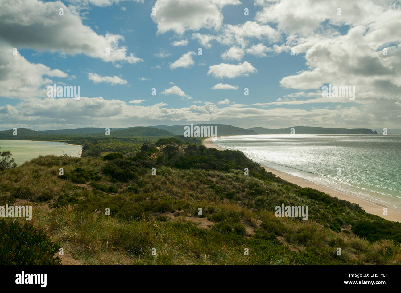 Il collo, Isola di Bruny Foto Stock
