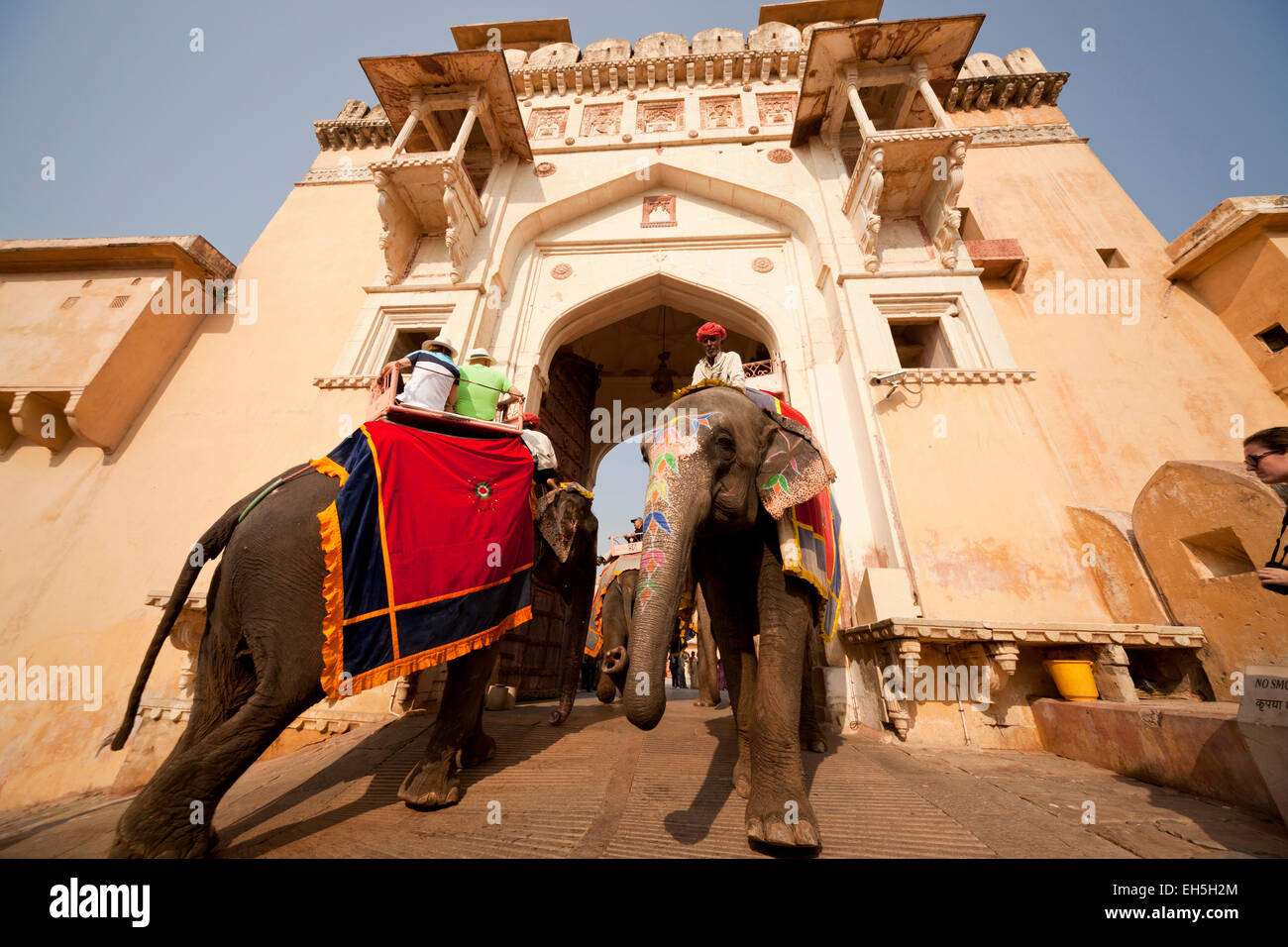 Tourist Elefante a Amber Fort Jaipur, Rajasthan, India, Asia Foto Stock