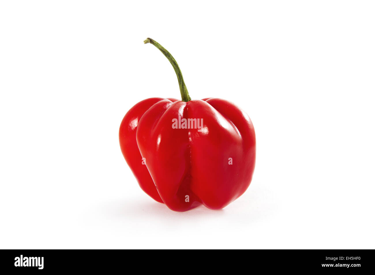 Organici di rosso peperoncino habanero spice su sfondo bianco. Foto Stock