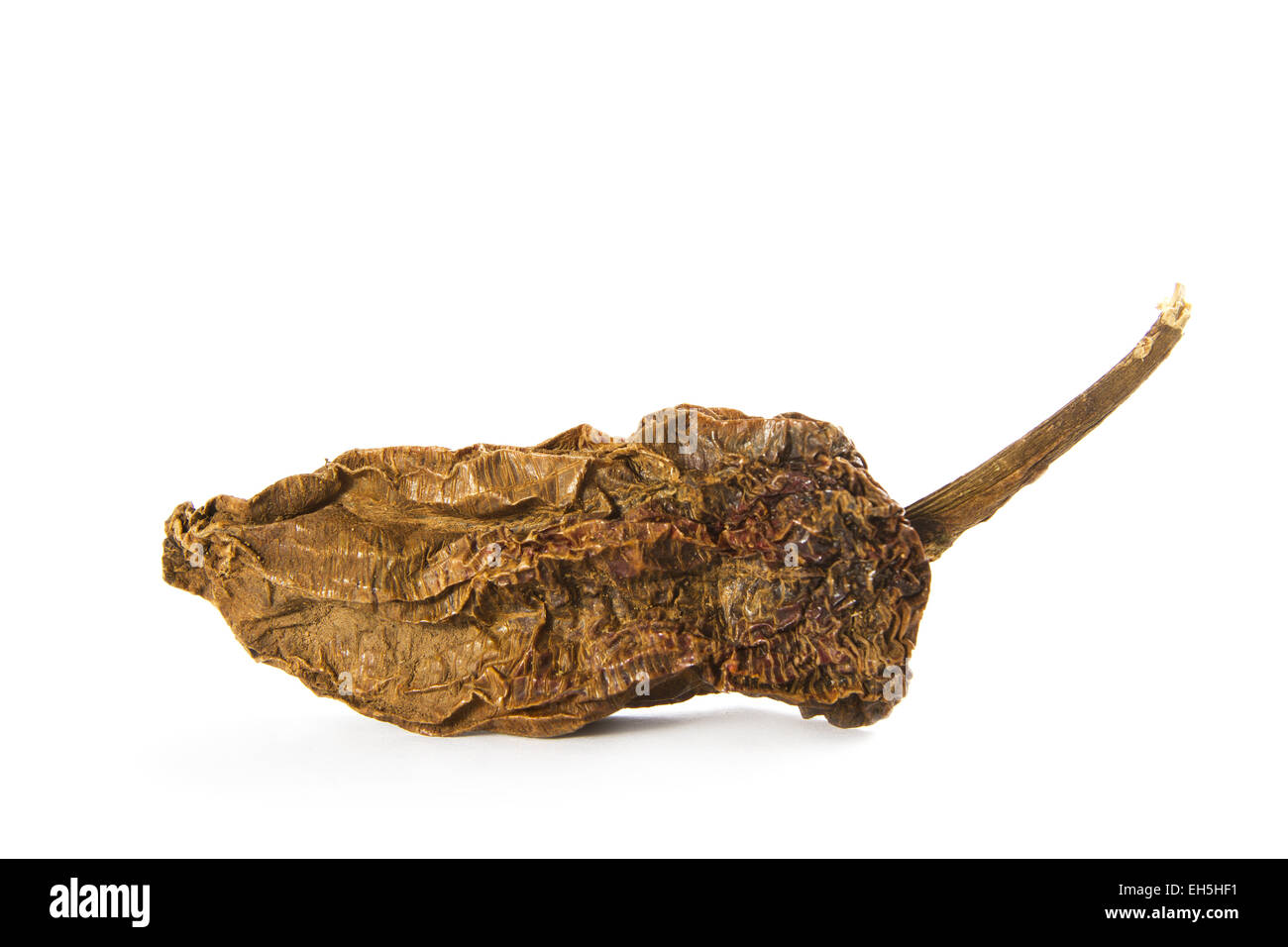 Fase organica essiccata Chipotles peperoncino spice su sfondo bianco. Foto Stock