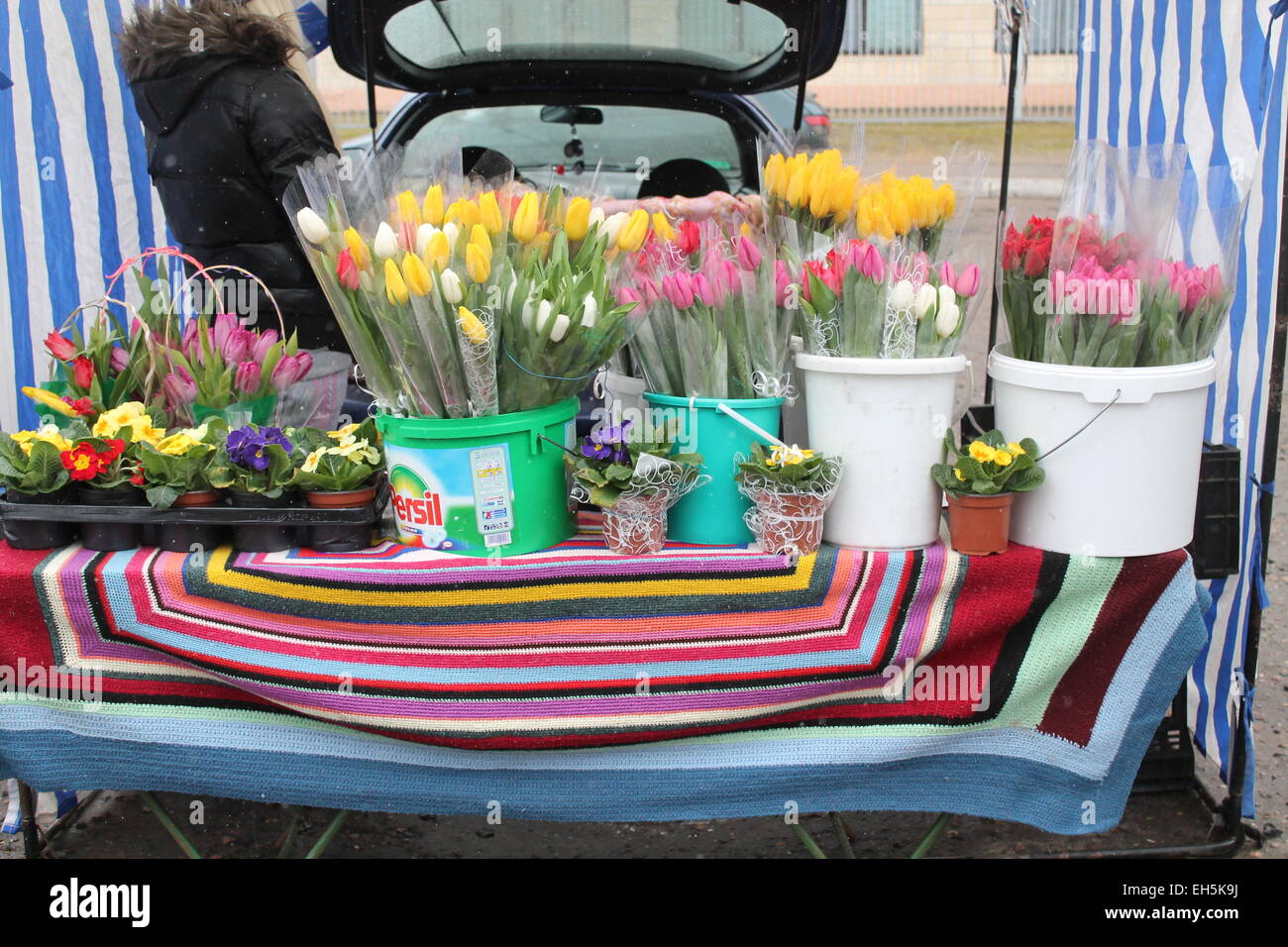 Molla di colorati tulipani in cesti sul mercato dei fiori Foto Stock