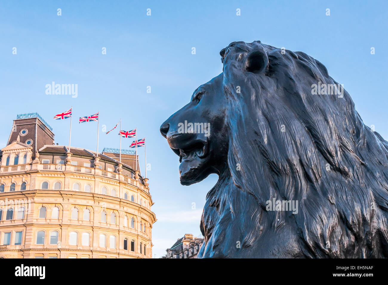 Profilo di una delle quattro sculture di Lion in Trafalgar Square, Londra, con bandiere britanniche in background. Foto Stock