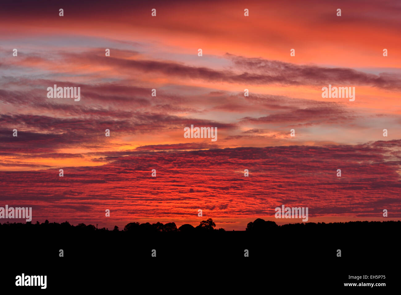 Sunrise Dalcross Brachligh Gollanfield, Inverness, Scotland Foto Stock