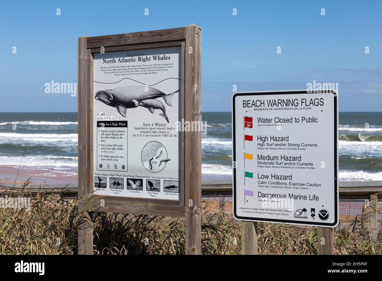 Spiaggia flag riscaldamento segni, Flagler Beach, Florida, Stati Uniti d'America Foto Stock