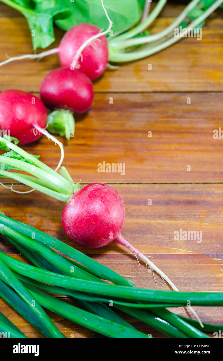 Freschi e umidi ravanelli e giovani cipolla su un tavolo di legno Foto Stock