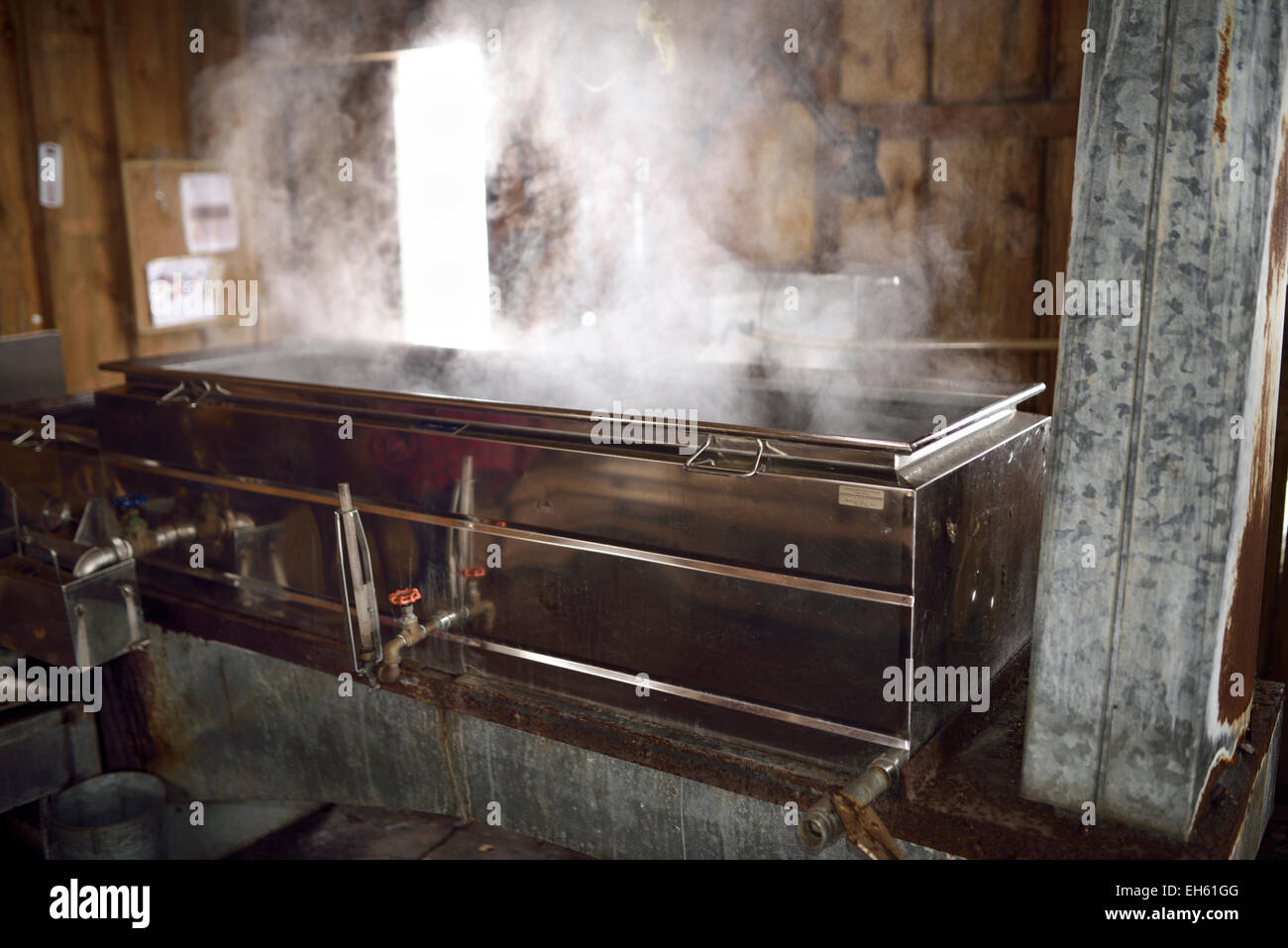 La combustione del legno evaporatore in acciaio con SAP per la cottura a vapore per lo sciroppo d'acero produzione all'interno di uno zucchero shack Ontario Canada Foto Stock