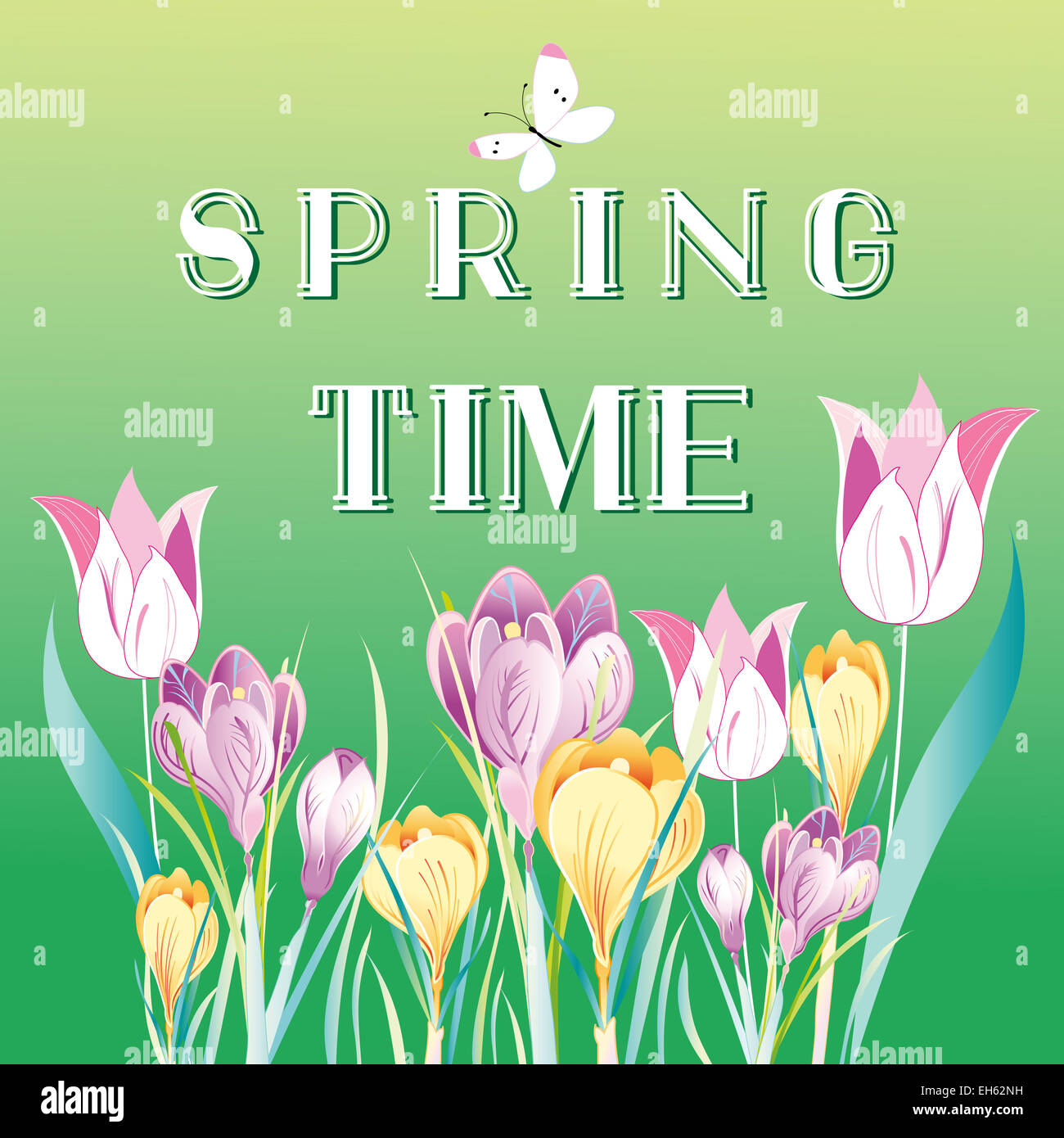 Un brillante background con dolce di crochi a molla Foto Stock