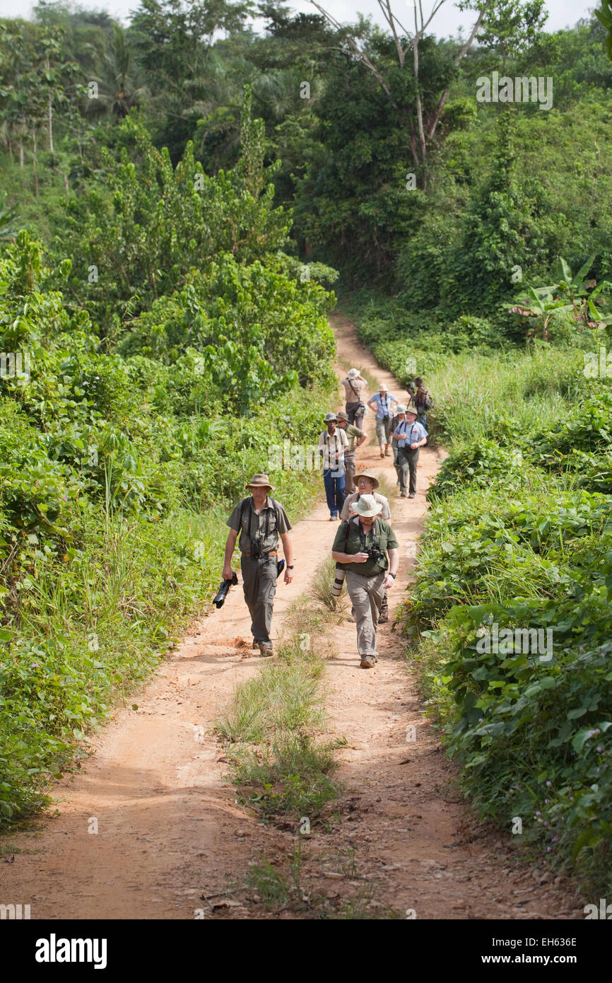 Eco-naturalisti, camminando lungo il sentiero locale attraverso abitante di piantagioni inframmezzato tra aree di foresta pluviale secondaria Foto Stock