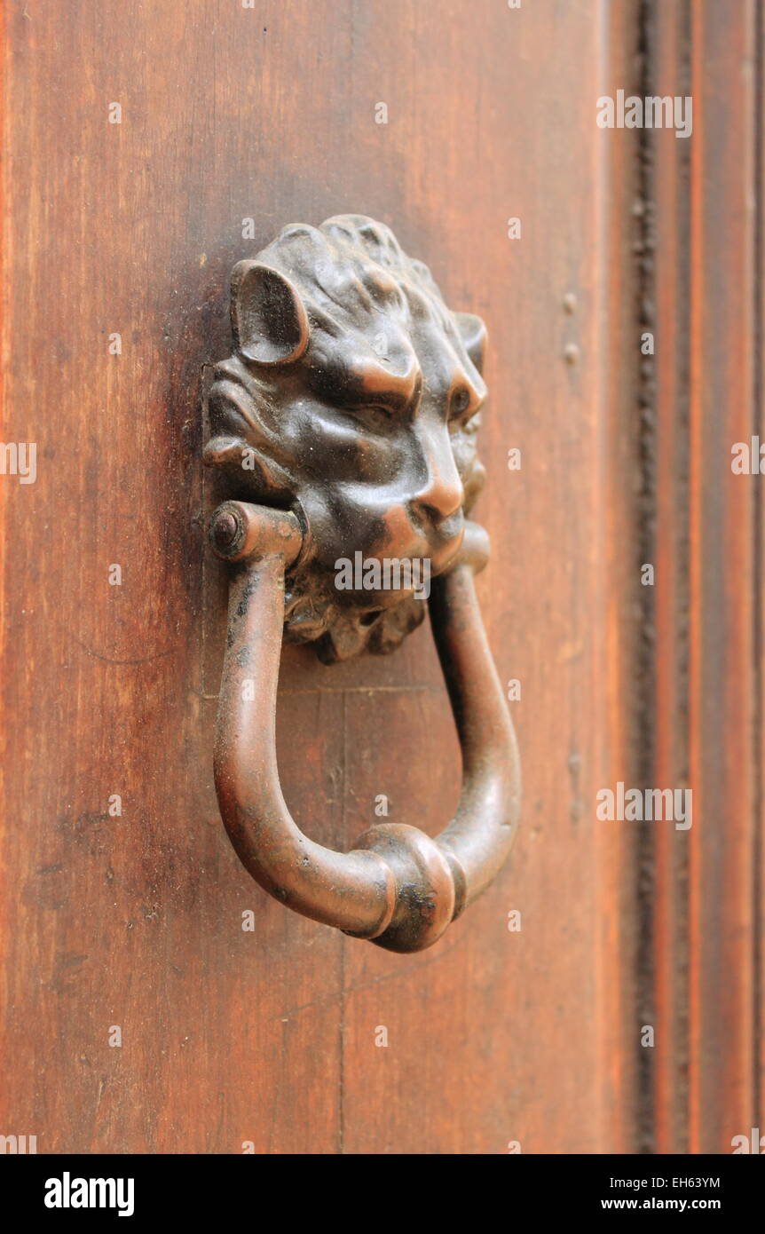 Leone di Bronzo Testa respingente su una porta di legno Foto Stock