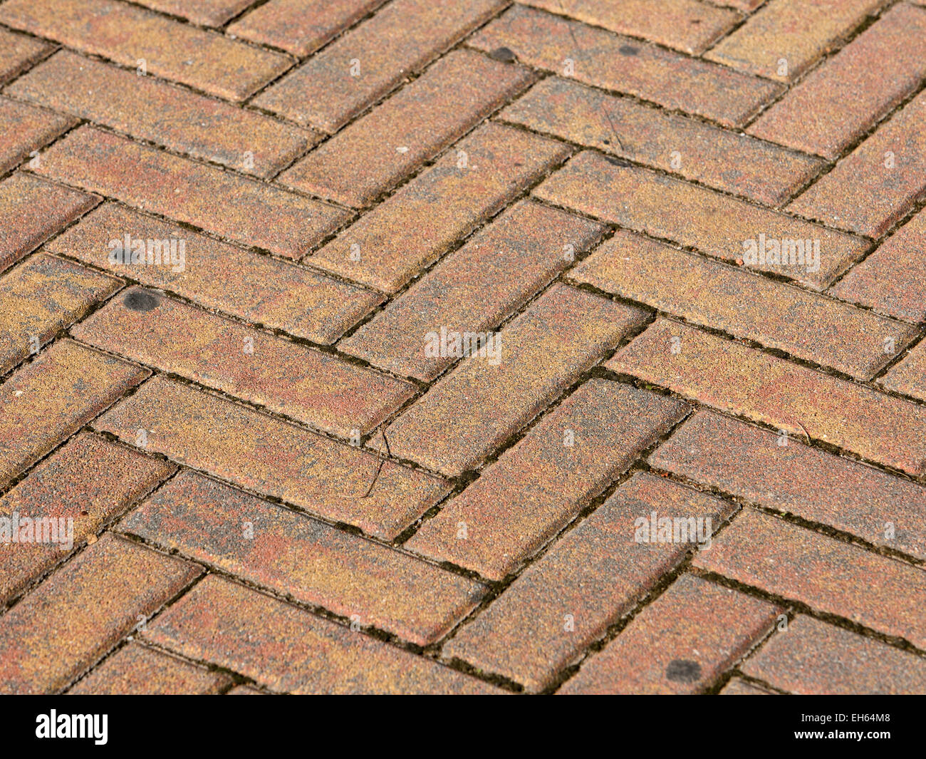 Livorno, Italia strada decorativo lastricatore mattoni Foto Stock