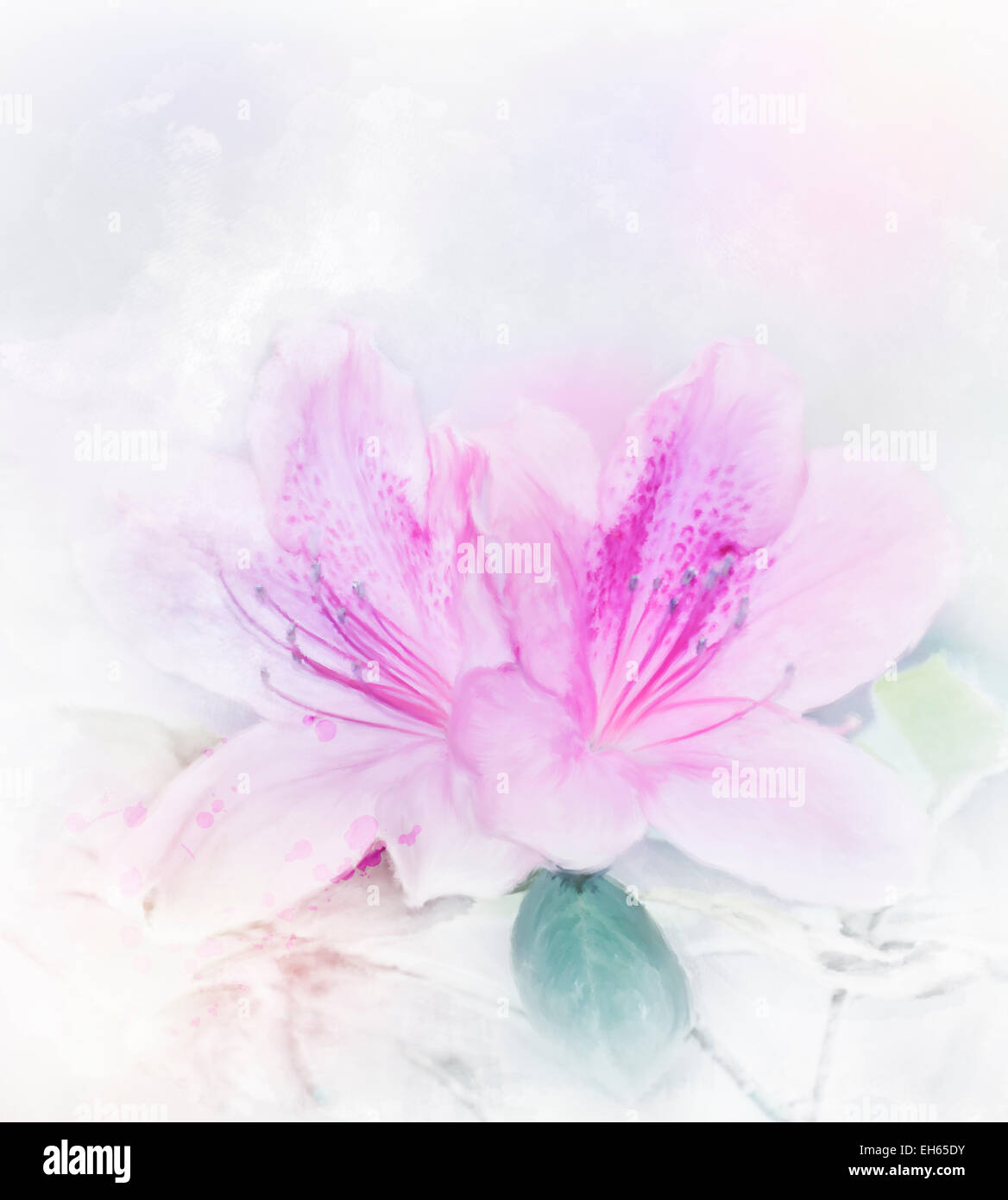 La pittura digitale di rosa fiori di azalea.Soft Focus Foto Stock