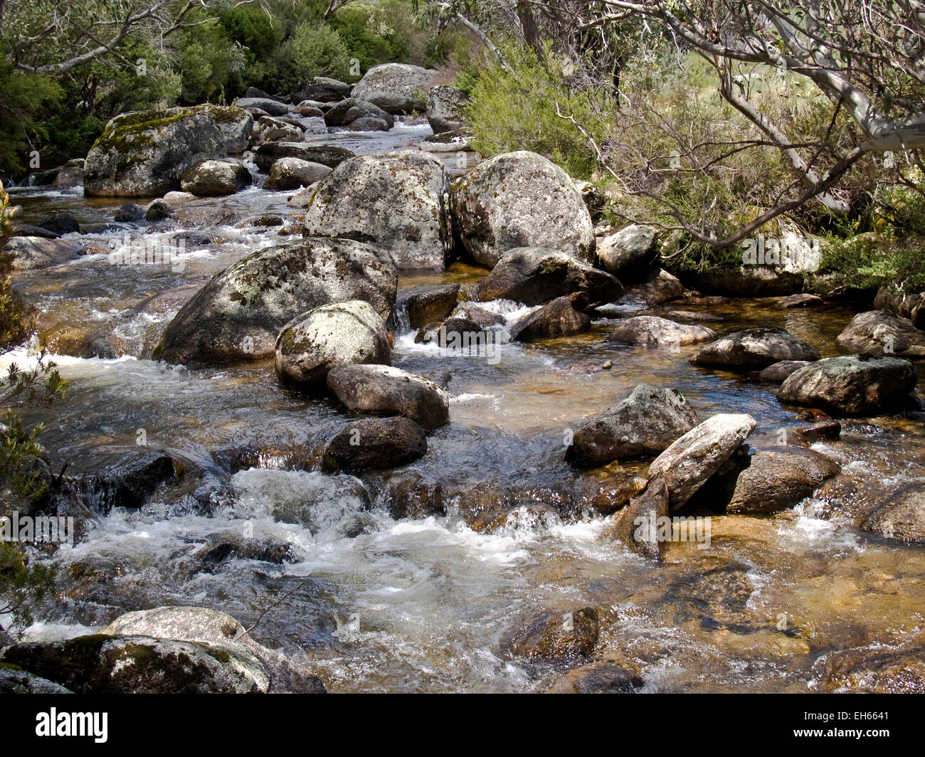 Australia: Thredbo fiume sopra Thredbo, montagne innevate, NSW Foto Stock
