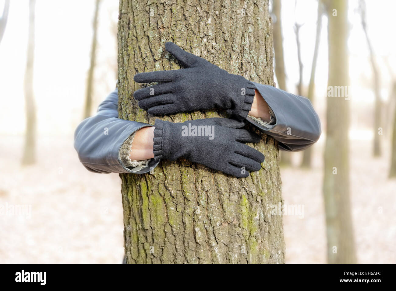 Un ambientalista è abbracciando un albero per dimostrare l amore per la natura e l'ambiente. Foto Stock