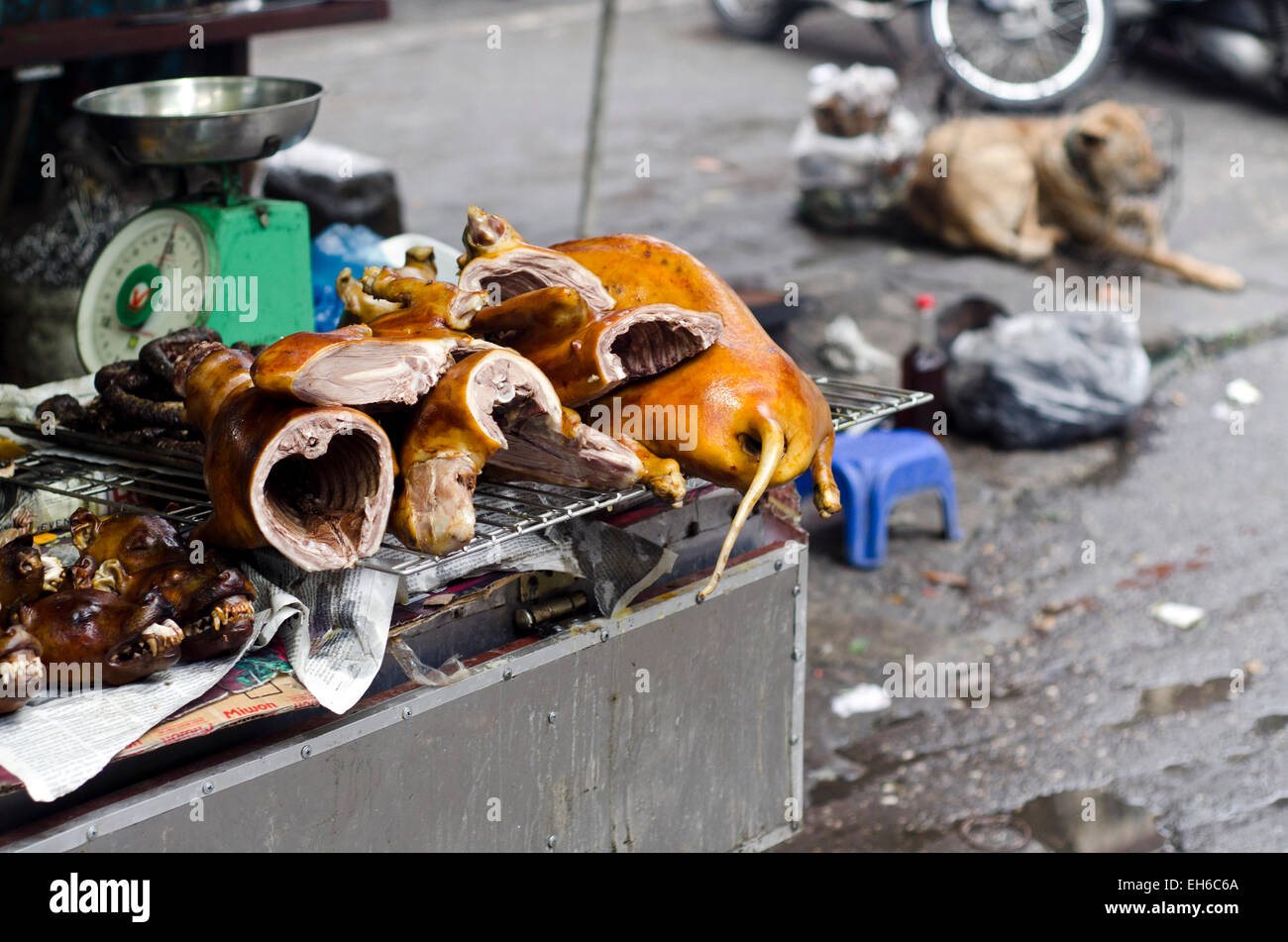Carne di cane in vendita, Hanoi Old Quarter, Vietnam Foto Stock