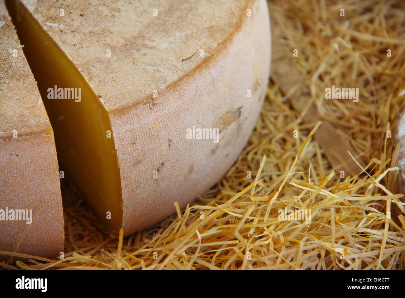 Tradizionale formaggio francese nel fieno per la vendita sul mercato della Normandia, Francia Foto Stock