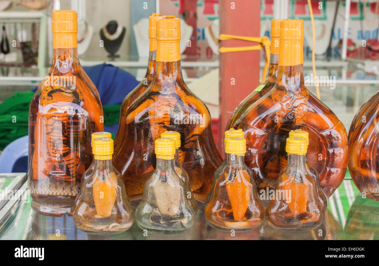 Bottiglie di serpente o scorpion vino a Phu Quoc, Vietnam Foto Stock