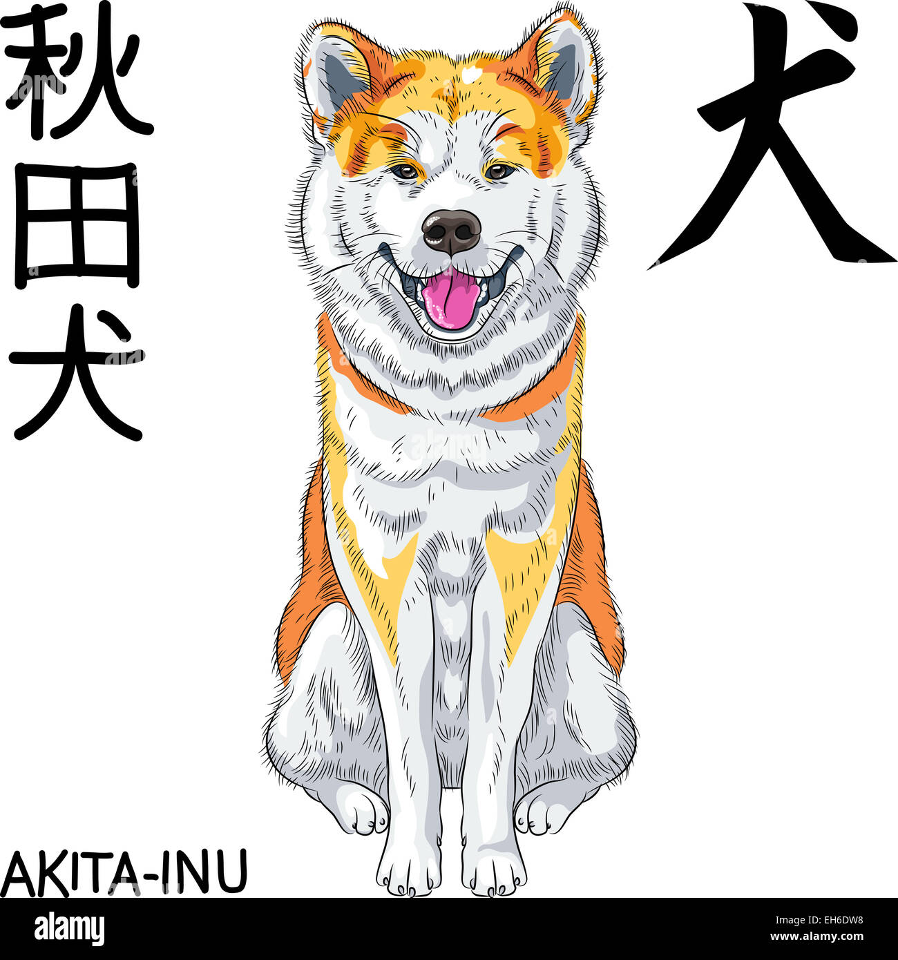 Disegno vettoriale cane Akita inu giapponese sorrisi di razza Foto Stock