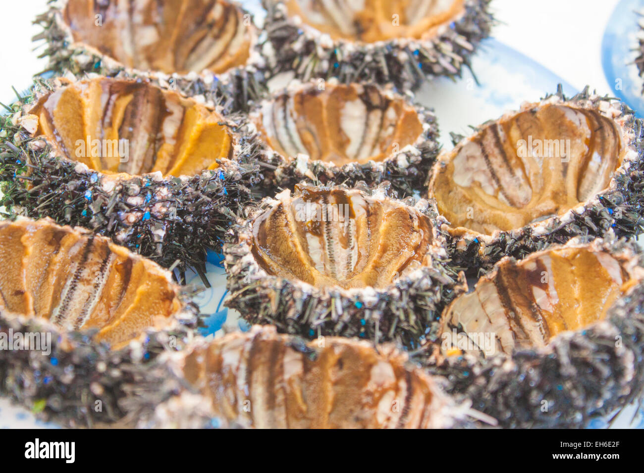 Un piatto pieno di ricci di mare metà, in corrispondenza di un mercato Foto Stock