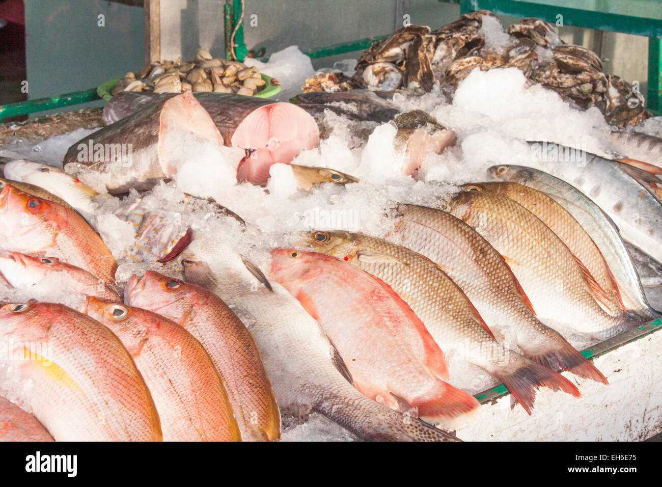 Negozio di pesce pieno di gustosi piatti di pesce, sull'isola di Phu Quoc Foto Stock