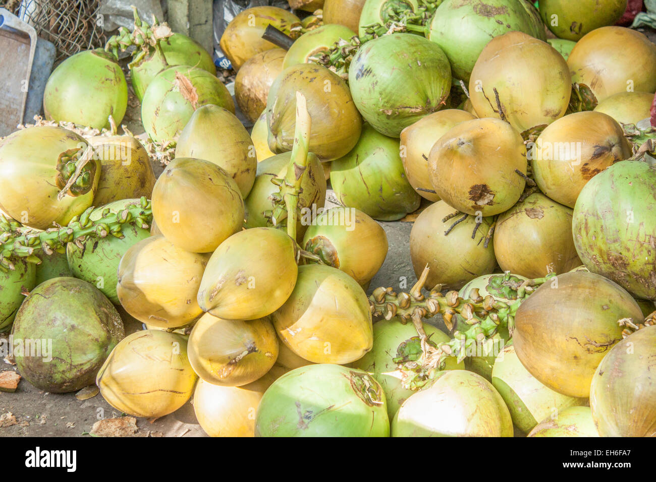 Un mucchio di noci di cocco verde, in un ristorante sulla spiaggia di Sao, Vietnam Foto Stock