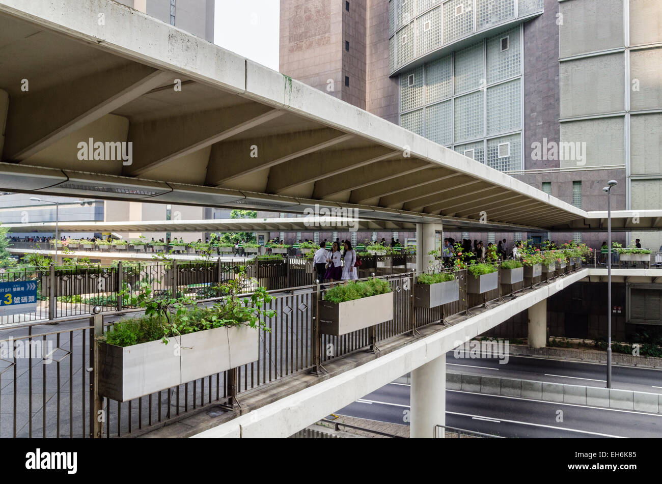 Elevata passaggi pedonali che collegano gli edifici di Hong Kong della zona centrale, Isola di Hong Kong, Hong Kong, Cina Foto Stock