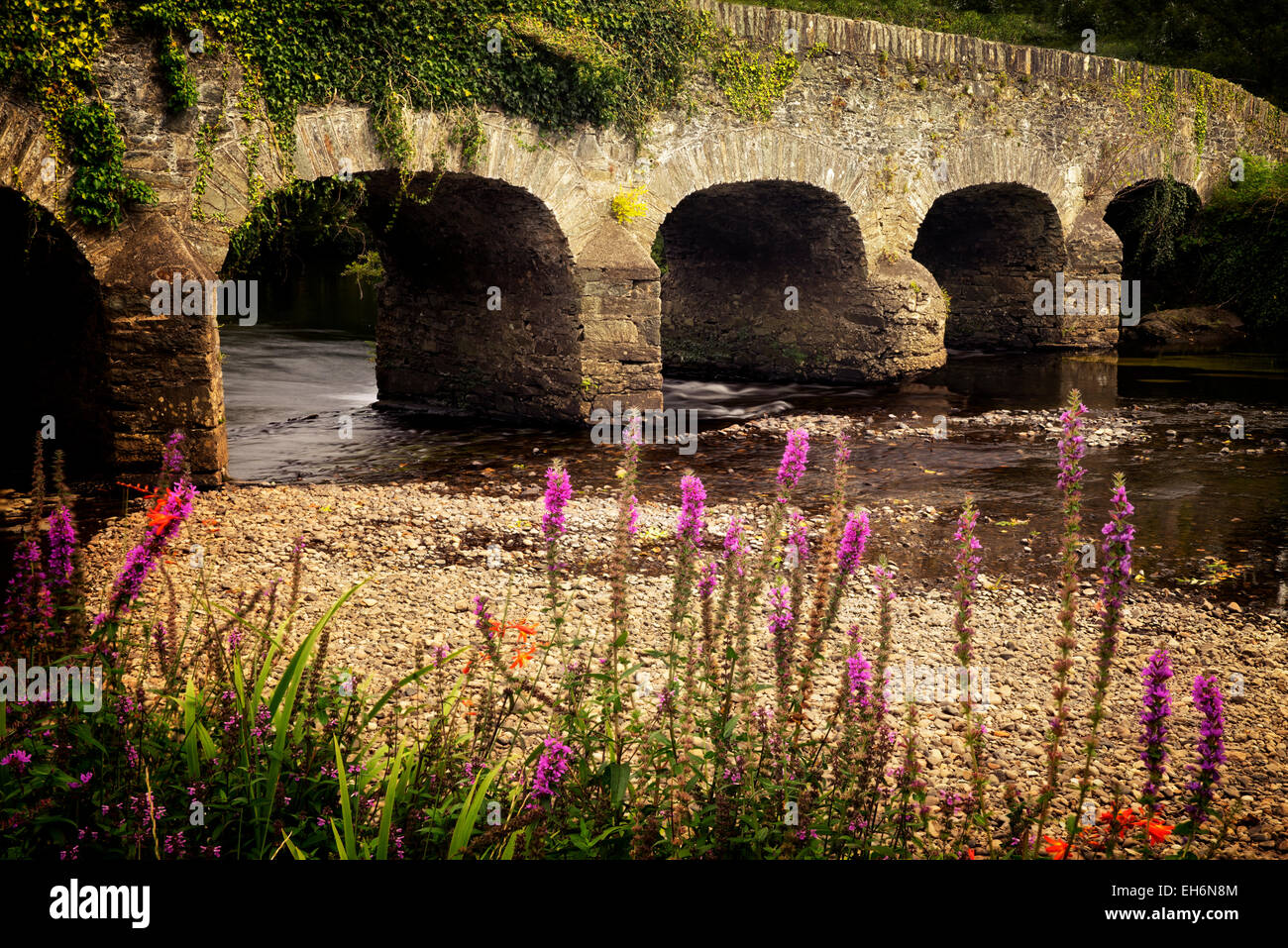 Ponte sul Fiume Gearhmeen con fiori selvaggi, Parco Nazionale di Killarney, Irlanda Foto Stock