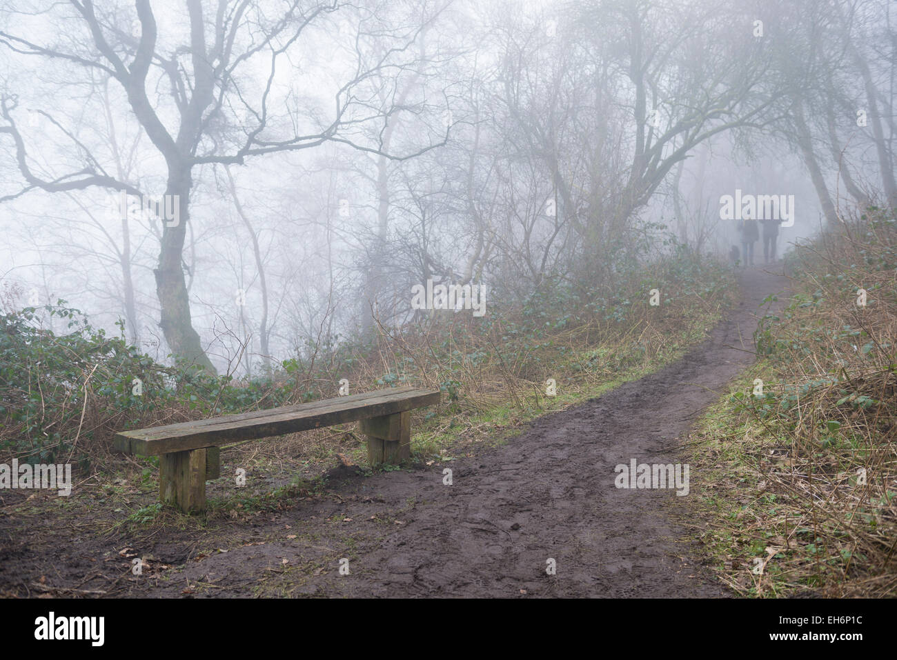 Due escursionisti e il loro cane in una mattinata di oggy camminando lungo il sentiero di arenaria nelle Peckforton Hills Foto Stock