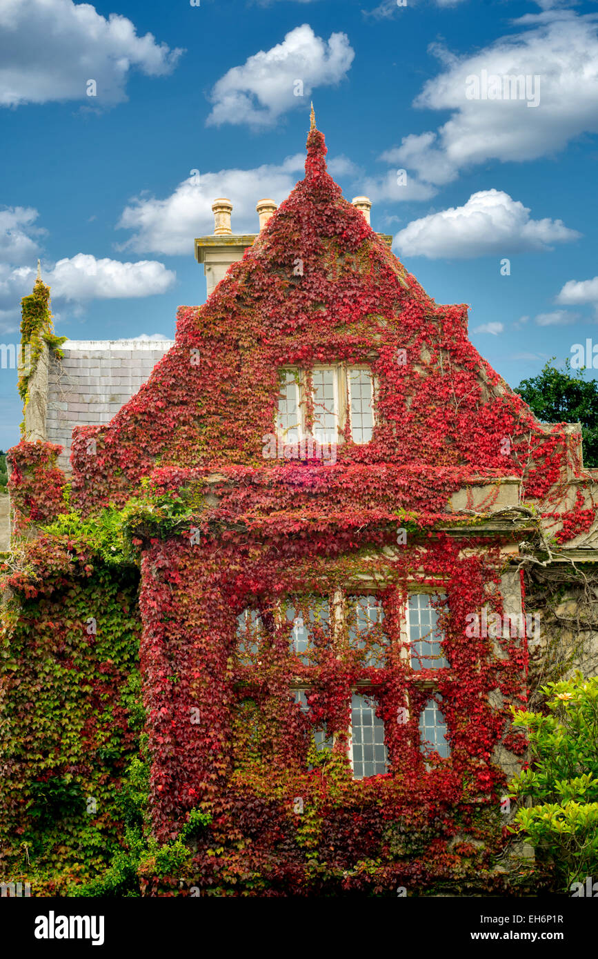 Muckross House e coperto di edera pareti. Parco Nazionale di Killarney, Irlanda Foto Stock