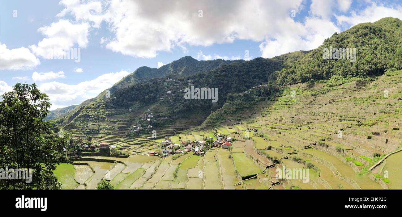 UNESCO terrazze di riso in Batad, Filippine Foto Stock