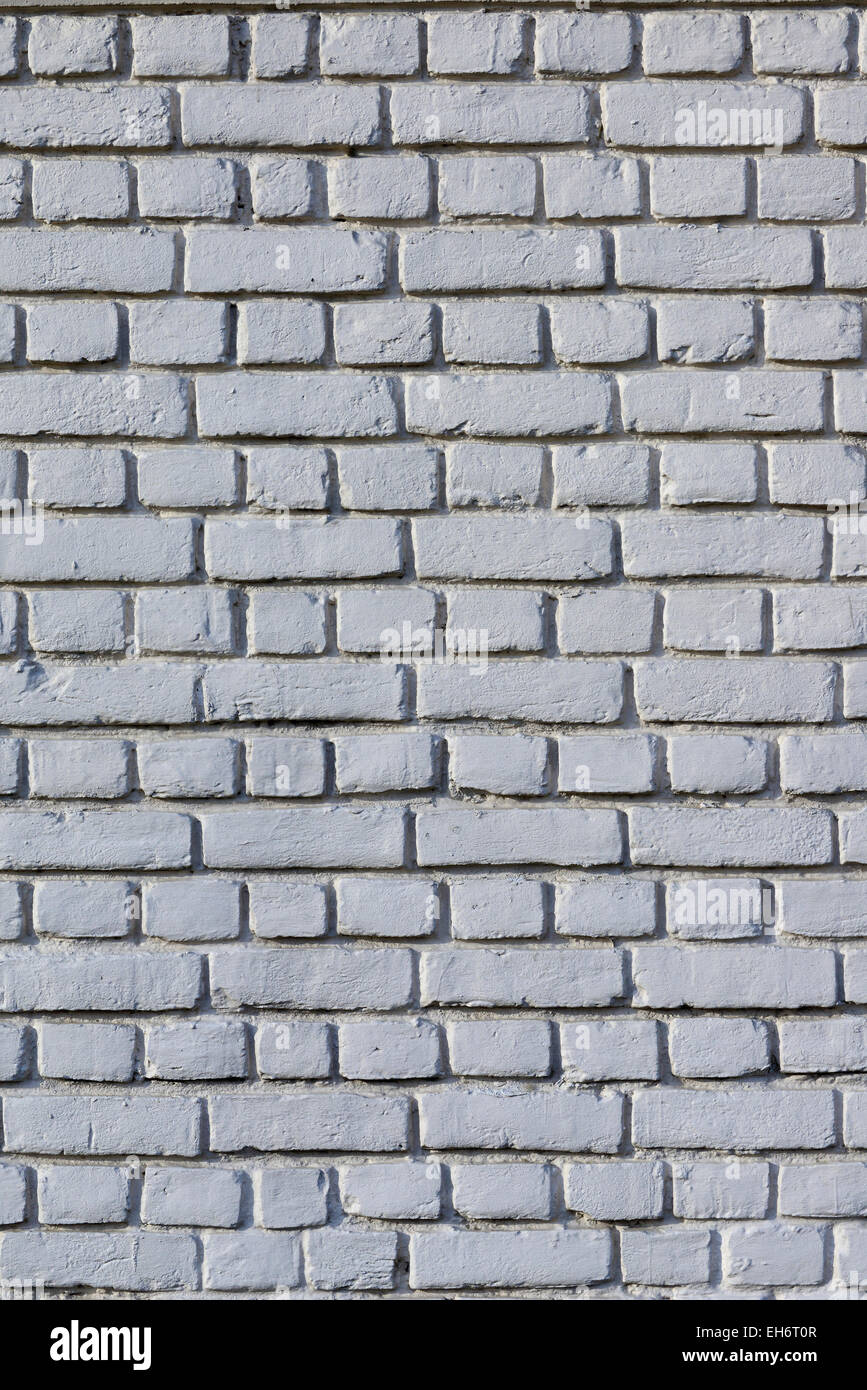 Muro di mattoni in bianco e nero Foto Stock
