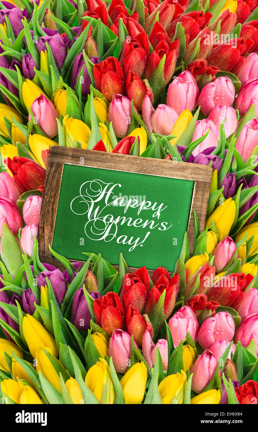 Tulipani e lavagna. Freschi di fiori di primavera con gocce d'acqua. Vacanze a sfondo con un testo di esempio felice giornata della donna! Foto Stock