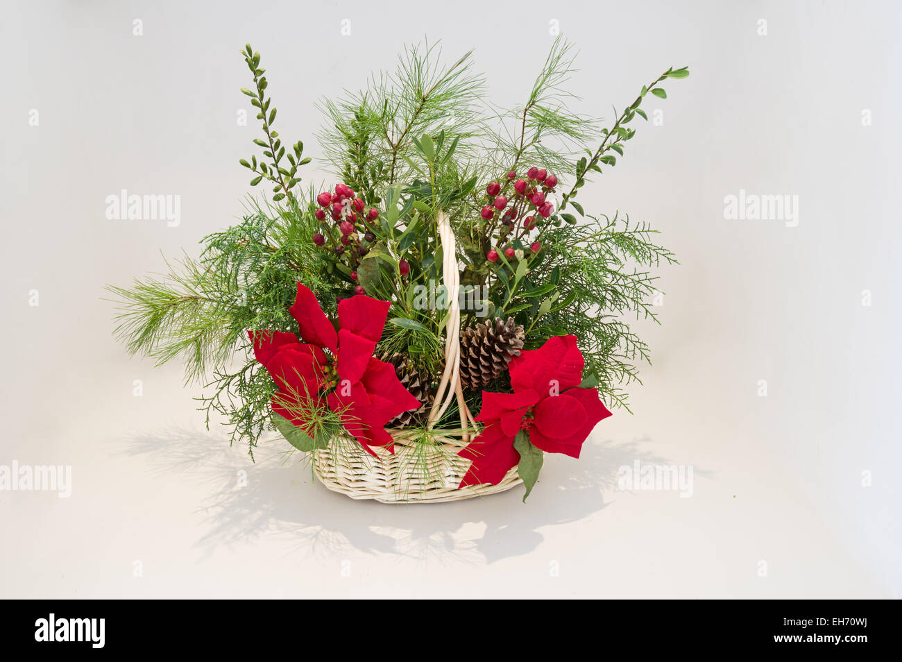 Cesto Natalizio disposizione con poinsettia e vegetazione sempreverde con sfondo luminoso Foto Stock