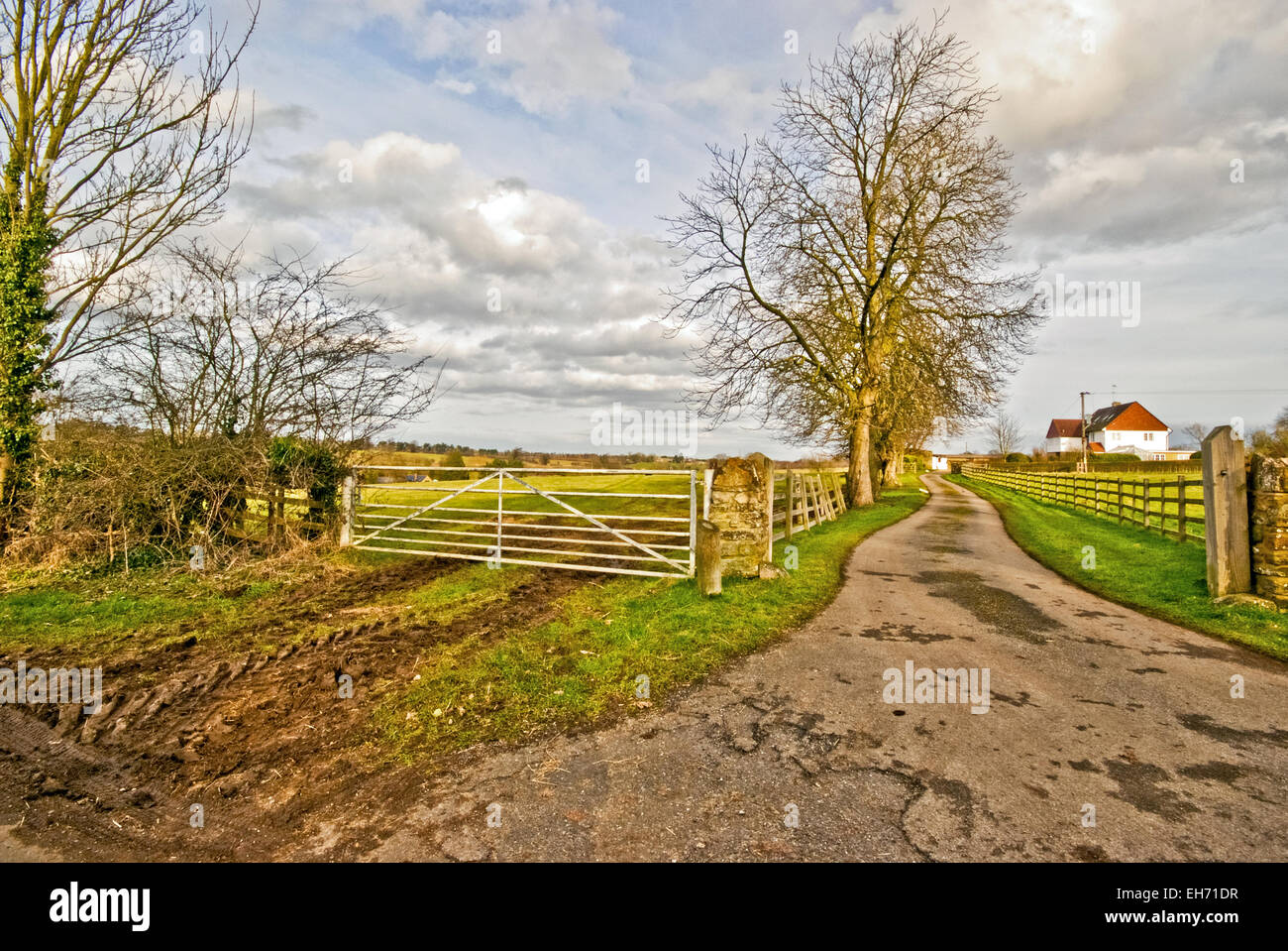 Viale di accesso alla casa di paese in paese lane Foto Stock