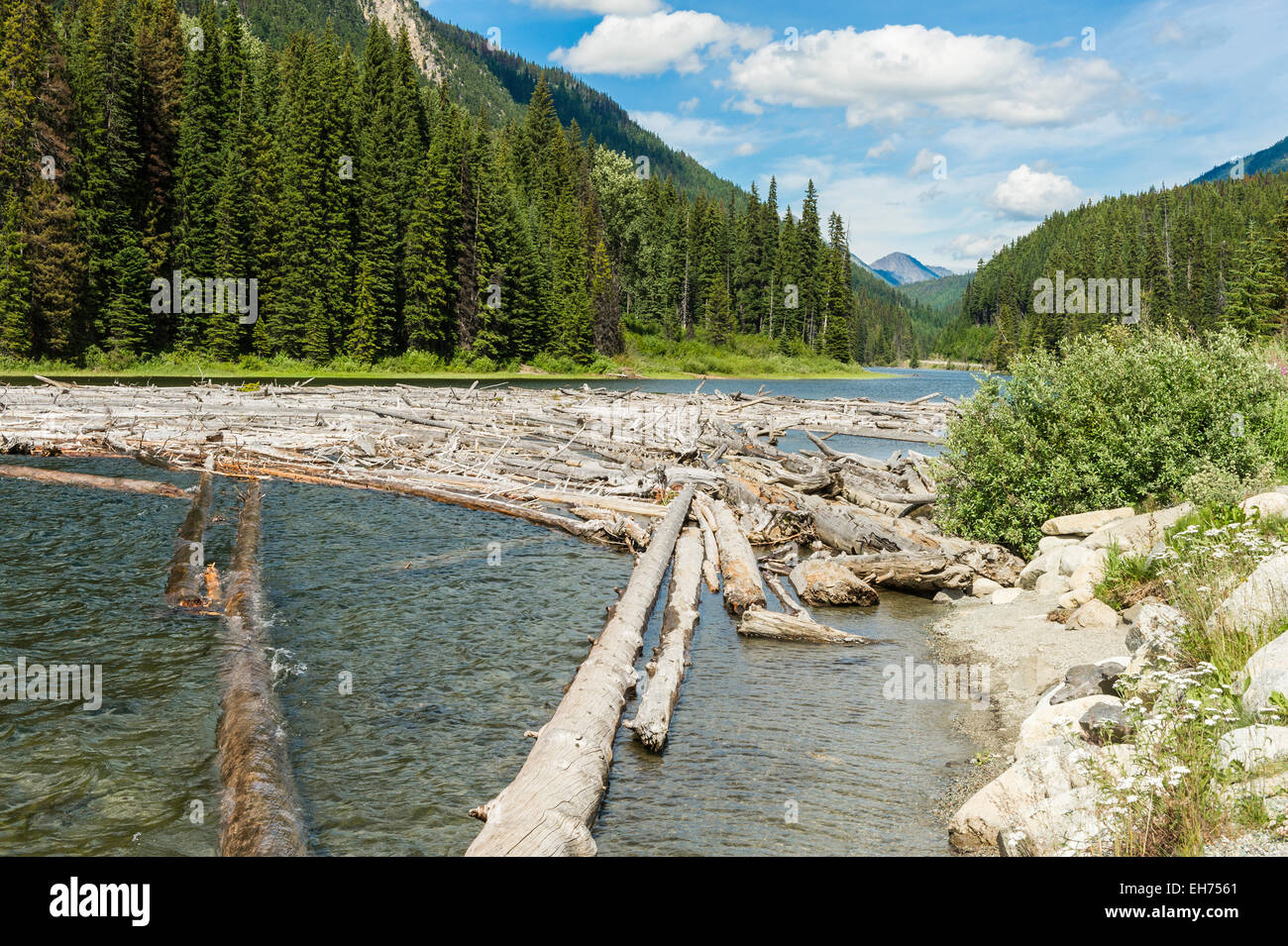 Log Jam e Cayoosh Creek, Duffey Lake, Duffey Lake Provincial Park, BC, Canada Foto Stock