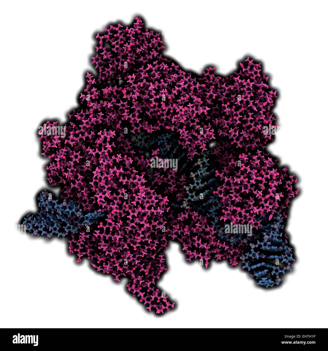 CRISPR-CAS9 gene complesso di editing Foto Stock
