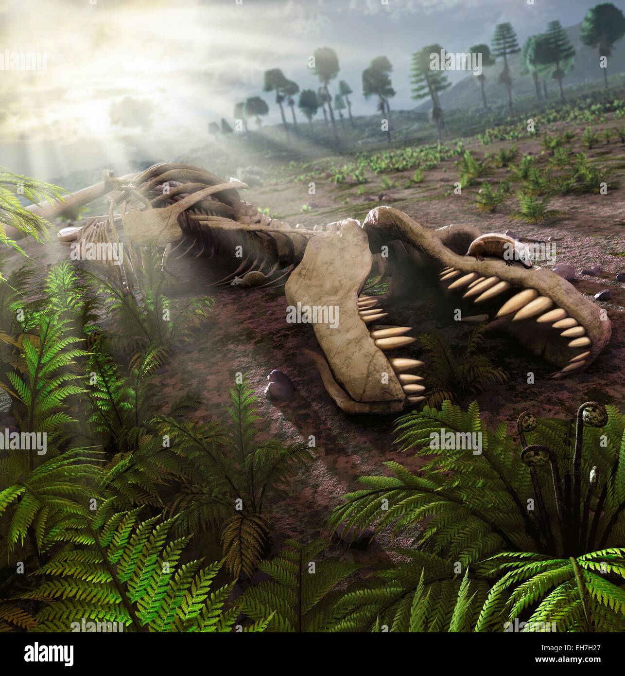 Primi mammiferi nascondendo in T-Rex carcassa Foto Stock