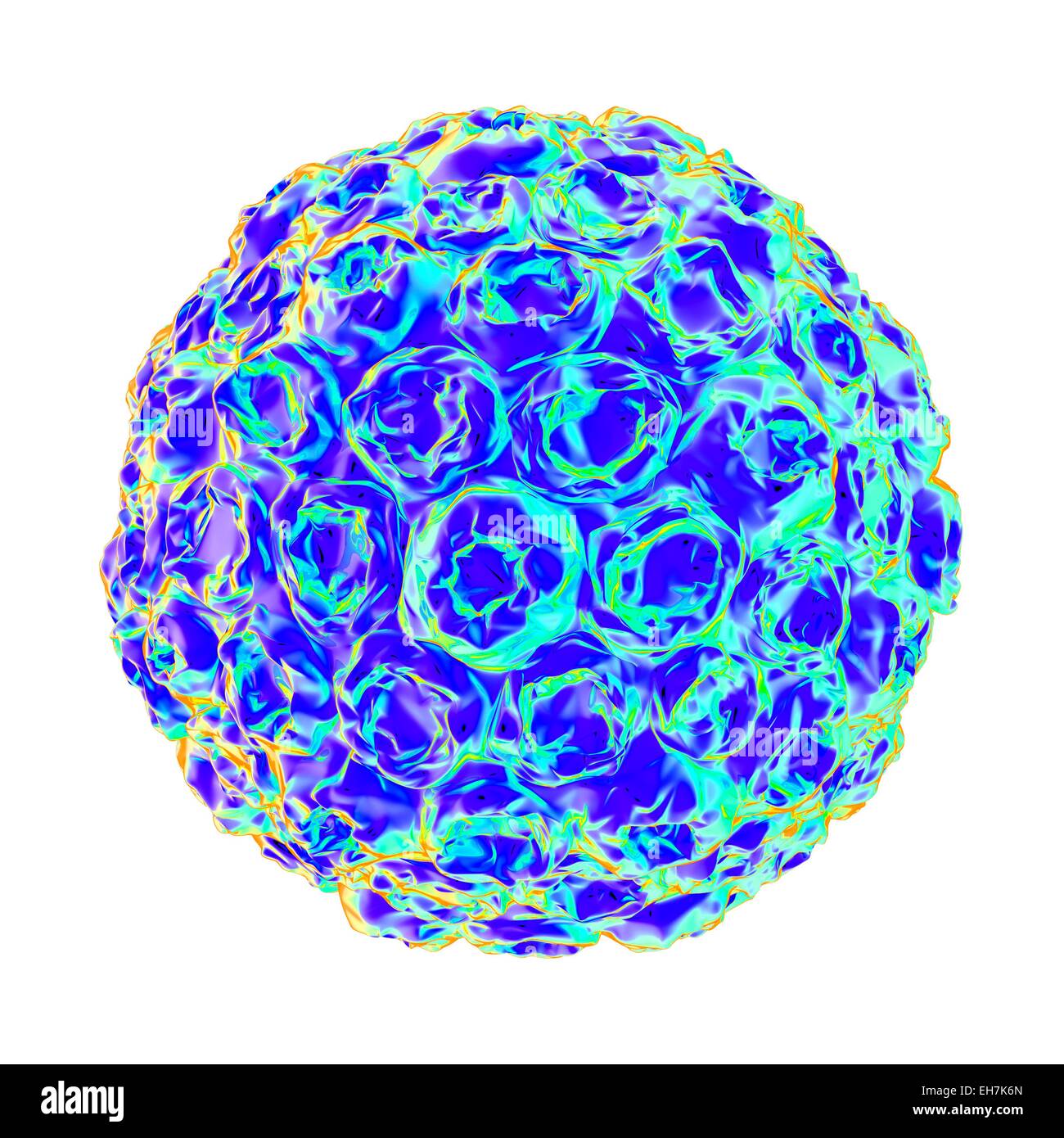 Il virus del papilloma umano particella, artwork Foto Stock