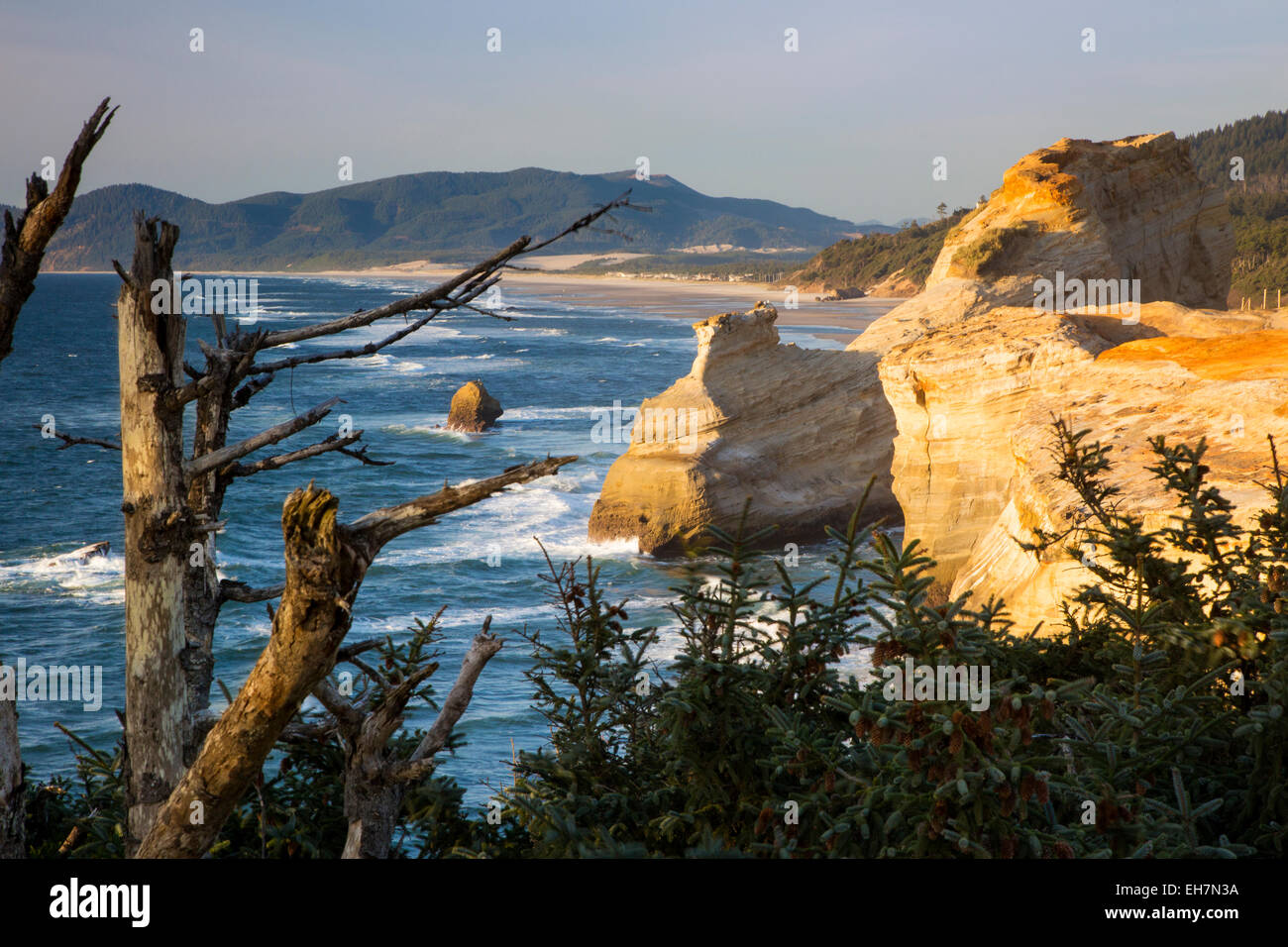 Le formazioni rocciose lungo la costa di Cape Kiwanda, Oregon, Stati Uniti d'America Foto Stock