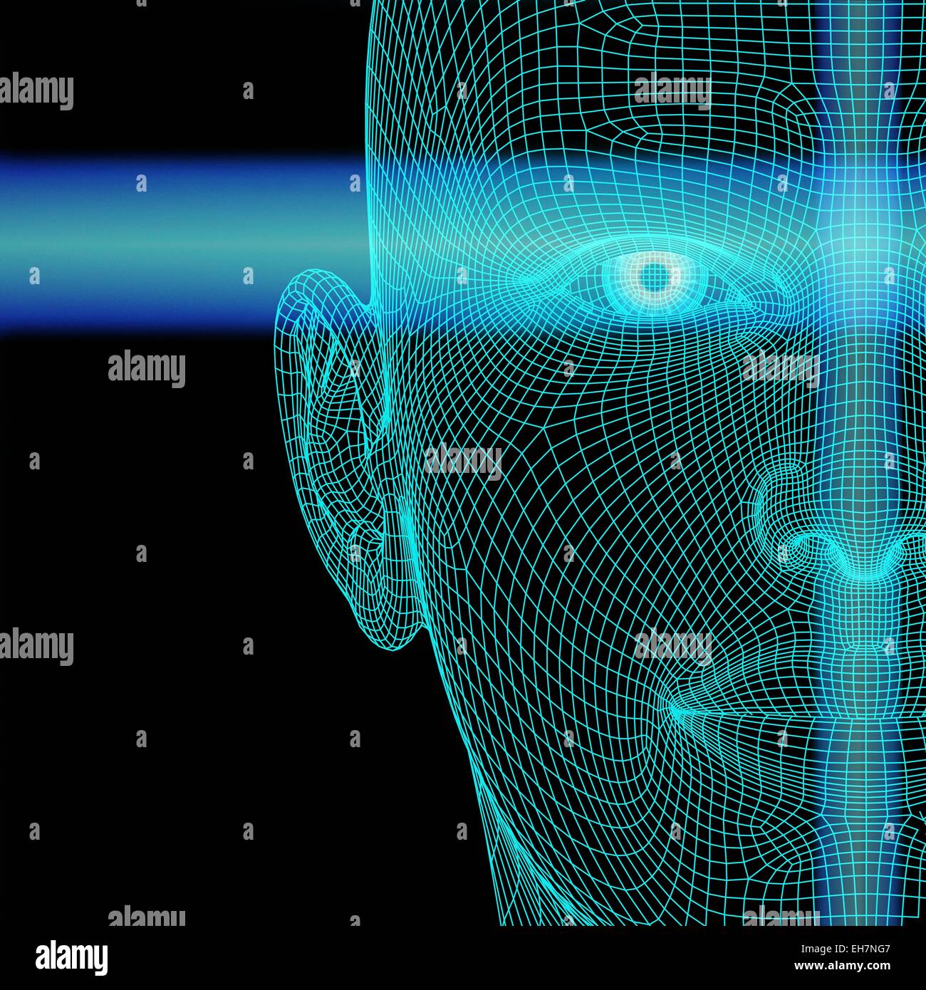 Biometrico testa poligonale con le linee di digitalizzazione Foto Stock