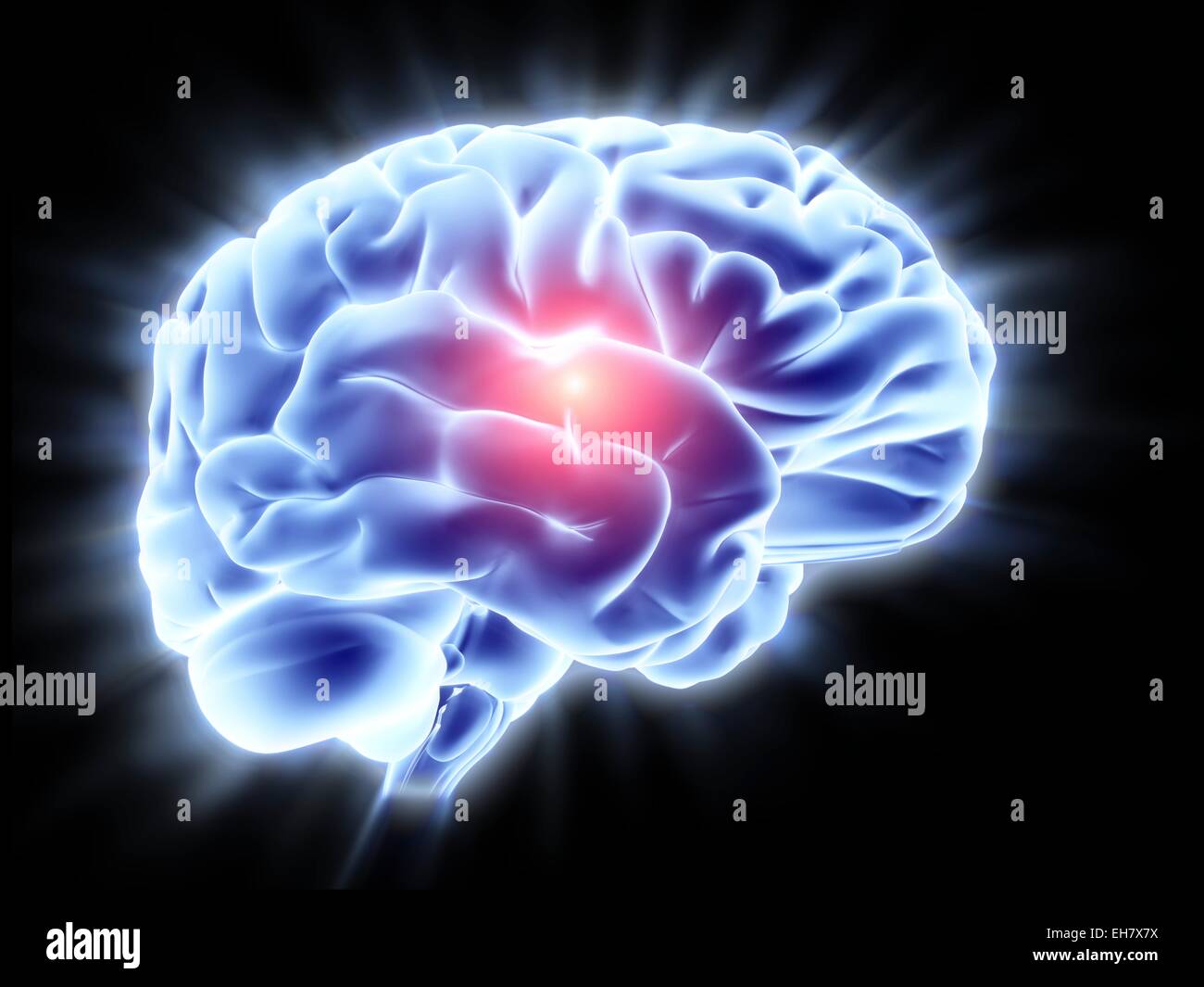 Cervello umano, artwork Foto Stock
