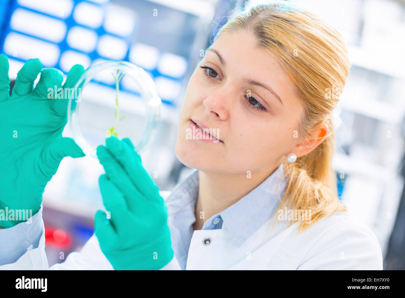 La ricerca biologica Foto Stock